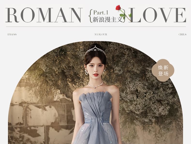 Butterfly Patterned Pleated Panel Mesh A-Line Tube Evening Gown