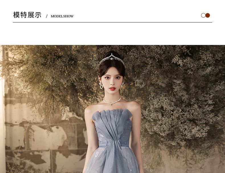 Butterfly Patterned Pleated Panel Mesh A-Line Tube Evening Gown