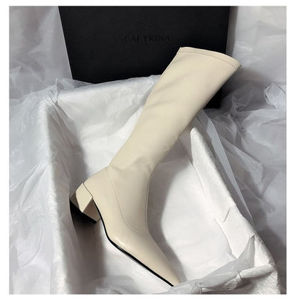 Pointed Toe Knee High Boots