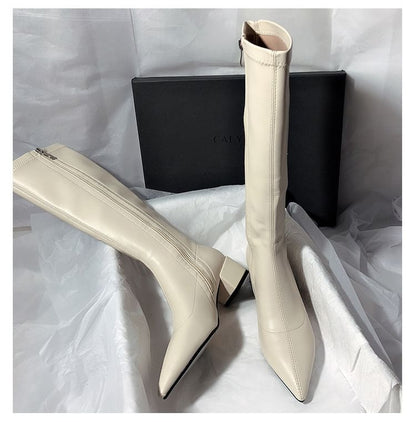 Pointed Toe Knee High Boots