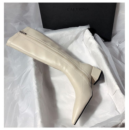 Pointed Toe Knee High Boots