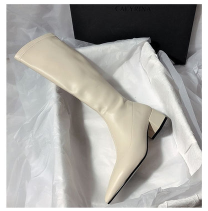 Pointed Toe Knee High Boots