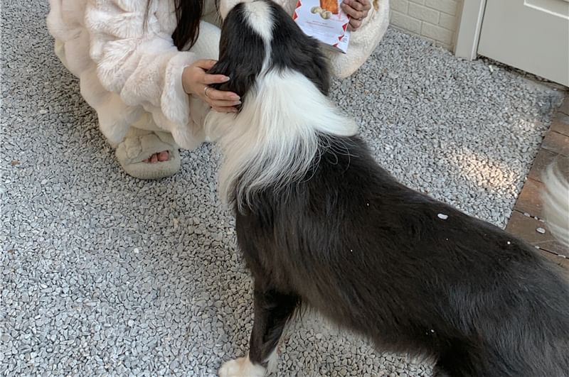 Plain Fluffy Open Front Jacket / Mid Rise Plain Wide Leg Pants