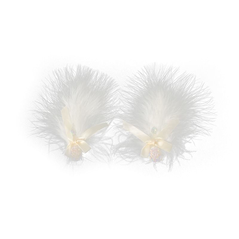 Feather Hair Clip / Set