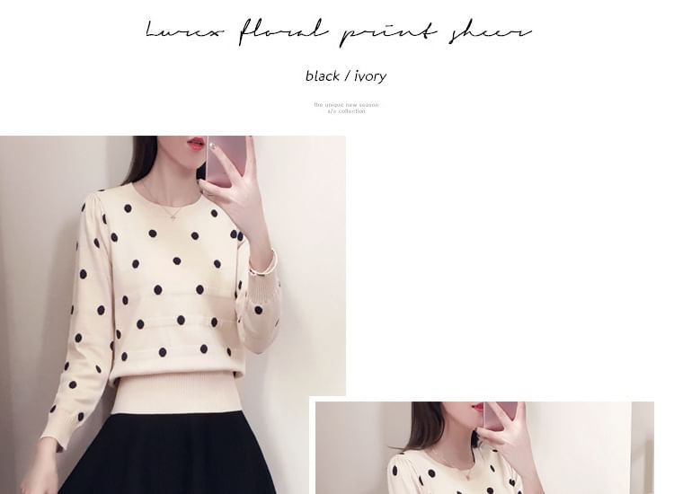 Crew Neck Dotted Sweater