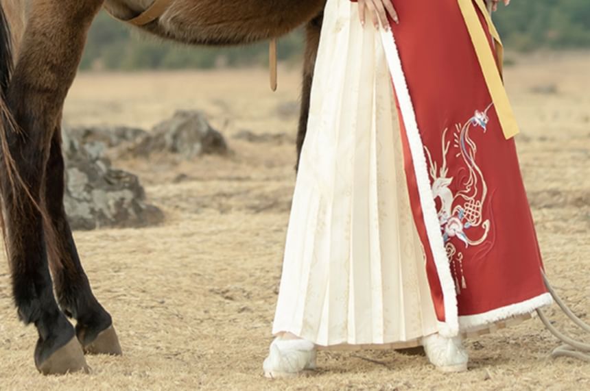 Chemisier à manches longues et col montant avec bordure contrastée et fermeture à grenouille / Haut Hanfu à manches courtes avec bordure duveteuse et broderie florale / Jupe longue trapèze à panneau plissé taille haute / Ensemble