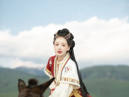 Long-Sleeve Stand Collar Contrast Trim Frog Closure Blouse / Short-Sleeve Floral Embroidered Fluffy Trim Hanfu Top / High Waist Pleated Panel Maxi A-Line Skirt / Set