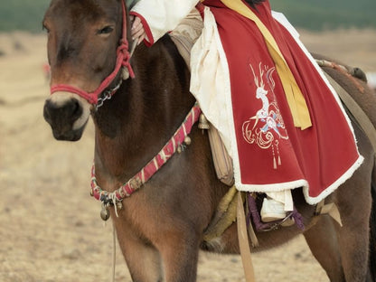 Long-Sleeve Stand Collar Contrast Trim Frog Closure Blouse / Short-Sleeve Floral Embroidered Fluffy Trim Hanfu Top / High Waist Pleated Panel Maxi A-Line Skirt / Set