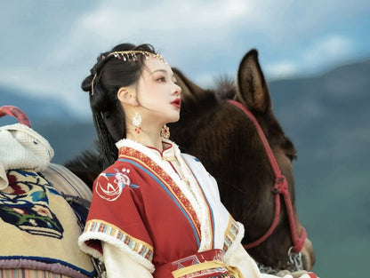 Long-Sleeve Stand Collar Contrast Trim Frog Closure Blouse / Short-Sleeve Floral Embroidered Fluffy Trim Hanfu Top / High Waist Pleated Panel Maxi A-Line Skirt / Set