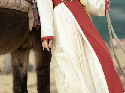 Long-Sleeve Stand Collar Contrast Trim Frog Closure Blouse / Short-Sleeve Floral Embroidered Fluffy Trim Hanfu Top / High Waist Pleated Panel Maxi A-Line Skirt / Set