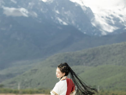 Long-Sleeve Stand Collar Contrast Trim Frog Closure Blouse / Short-Sleeve Floral Embroidered Fluffy Trim Hanfu Top / High Waist Pleated Panel Maxi A-Line Skirt / Set