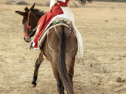 Long-Sleeve Stand Collar Contrast Trim Frog Closure Blouse / Short-Sleeve Floral Embroidered Fluffy Trim Hanfu Top / High Waist Pleated Panel Maxi A-Line Skirt / Set