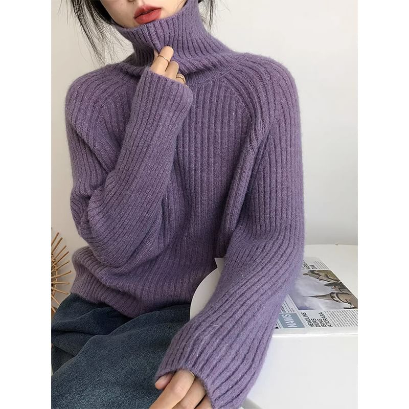 Turtleneck Plain Ribbed Sweater