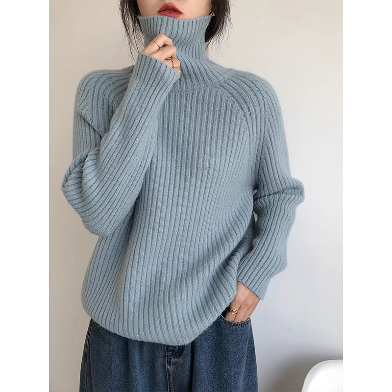 Turtleneck Plain Ribbed Sweater