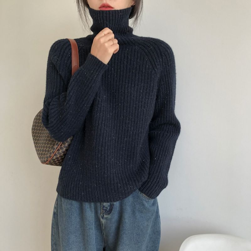 Turtleneck Plain Ribbed Sweater