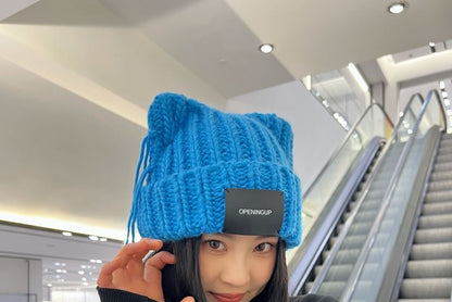 Cat Ear Lettering Applique Knit Beanie