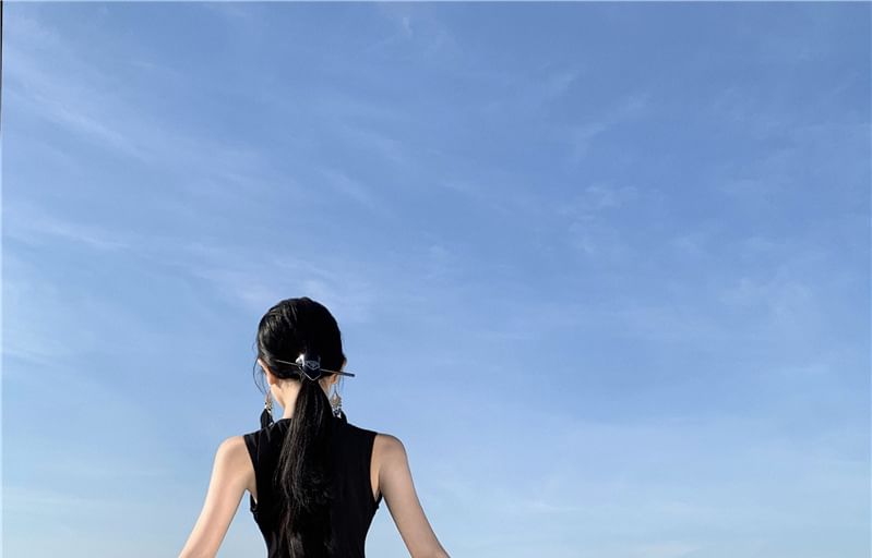 Sleeveless Crewneck Two Tone Maxi A-Line Dress