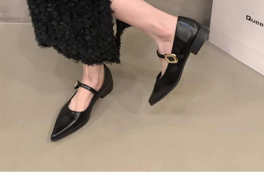 Pointy Toe Mary Jane Shoes