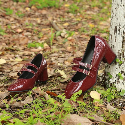 Chunky Heel Double Strap Mary Jane Shoes