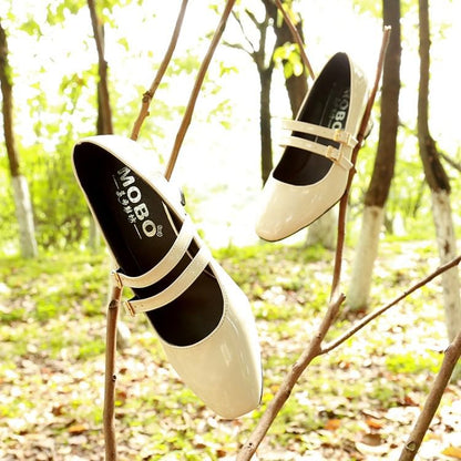 Chunky Heel Double Strap Mary Jane Shoes