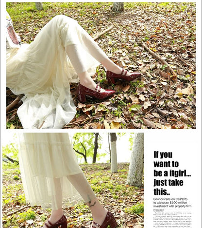 Chunky Heel Double Strap Mary Jane Shoes