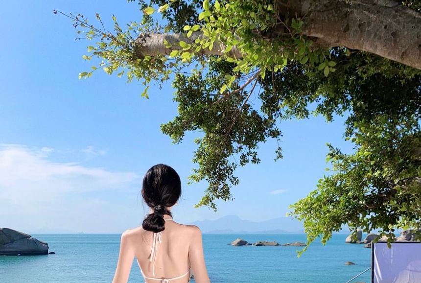 Neck Embroidered Dress A-Line Midi Halter