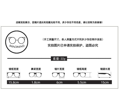 Oversized Frame Sunglasses