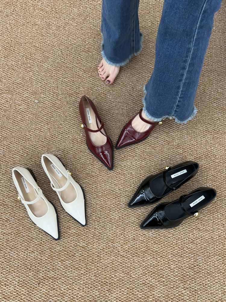 Pointed Toe Chunky Heel Mary Jane Shoes