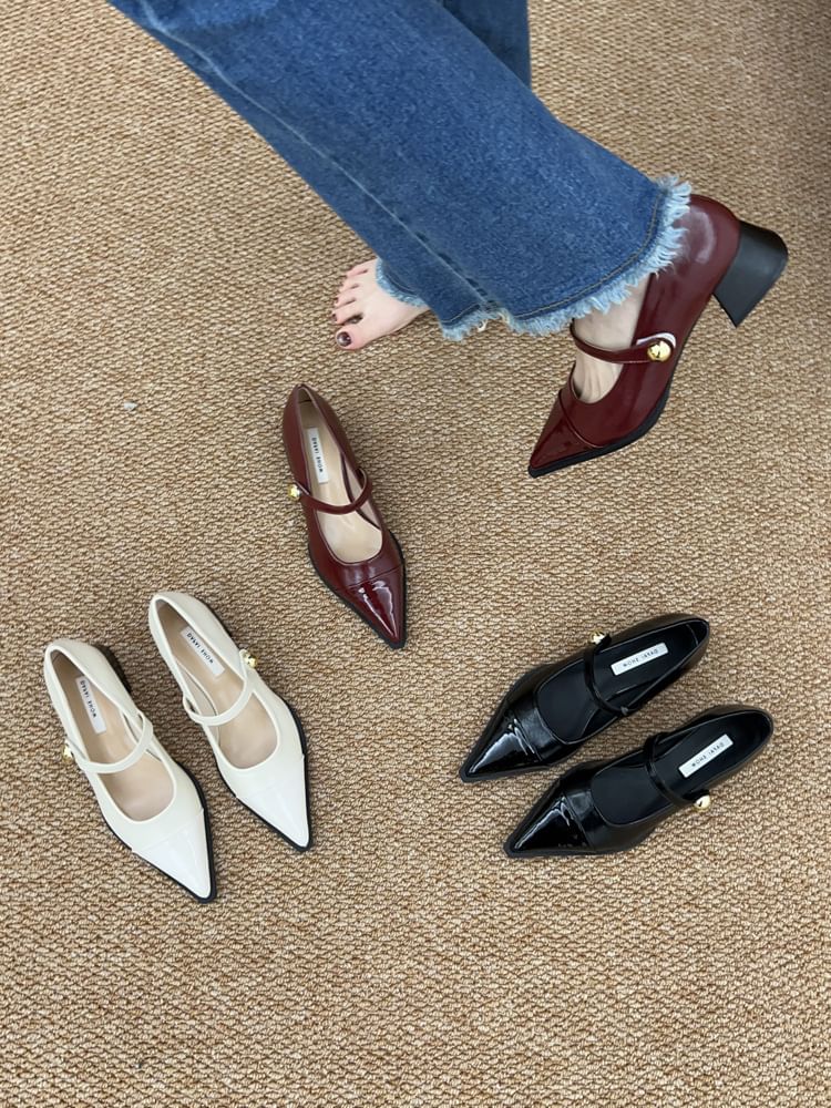 Pointed Toe Chunky Heel Mary Jane Shoes