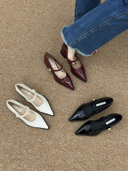 Pointed Toe Chunky Heel Mary Jane Shoes