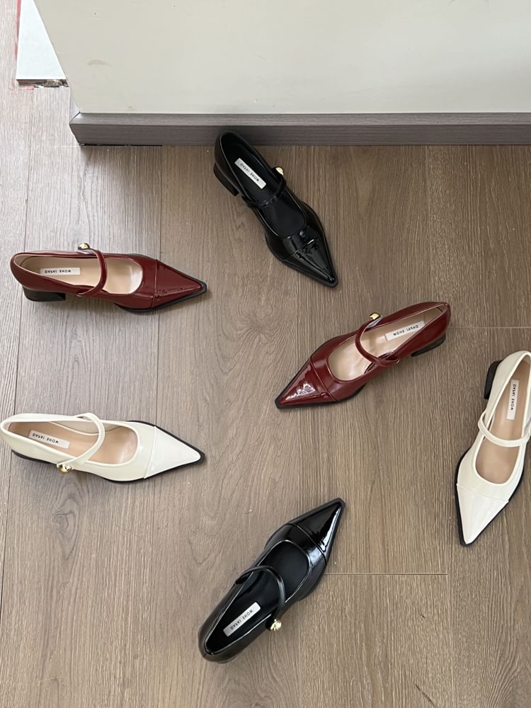 Pointed Toe Chunky Heel Mary Jane Shoes
