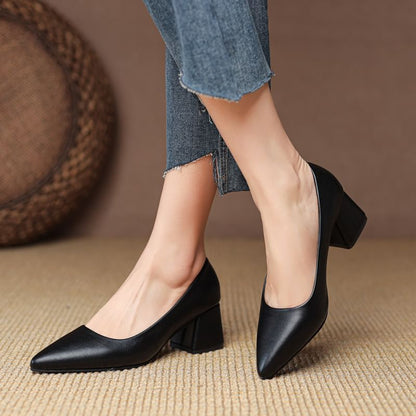 Block Heel Pointed Pumps