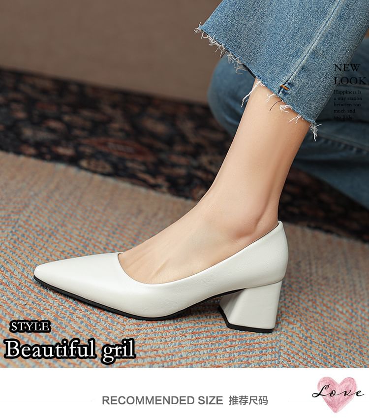 Block Heel Pointed Pumps