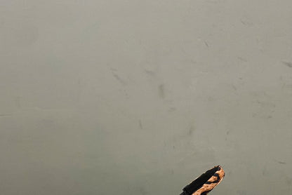 Kitten Heel Leopard Print Slingback Mules