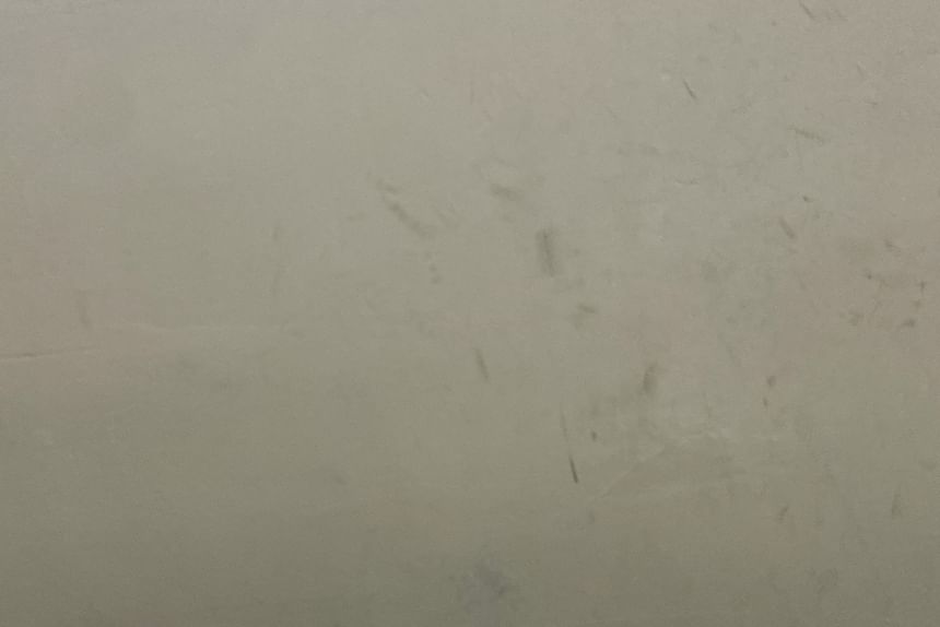 Kitten Heel Leopard Print Slingback Mules