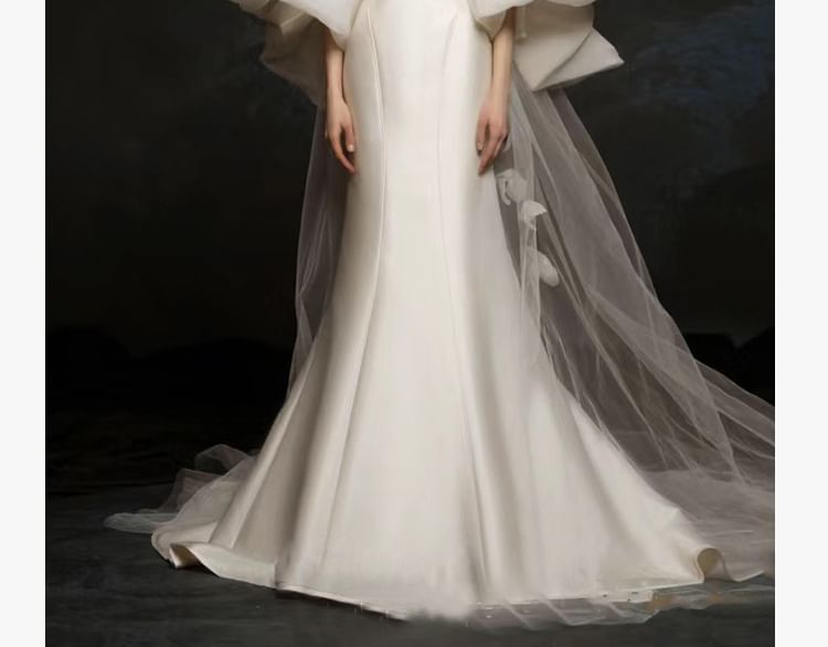 Strapless Mermaid Evening Plain Gown