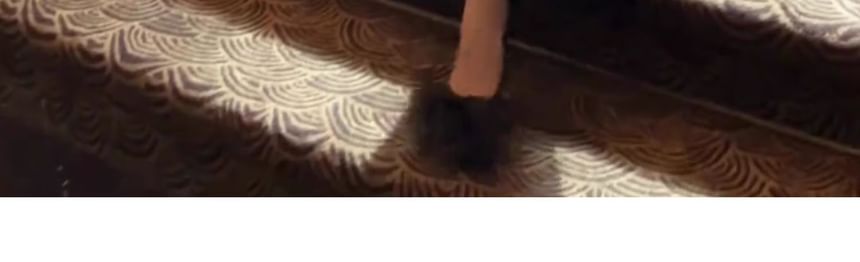 Slit Plain Sleeveless Evening Gown