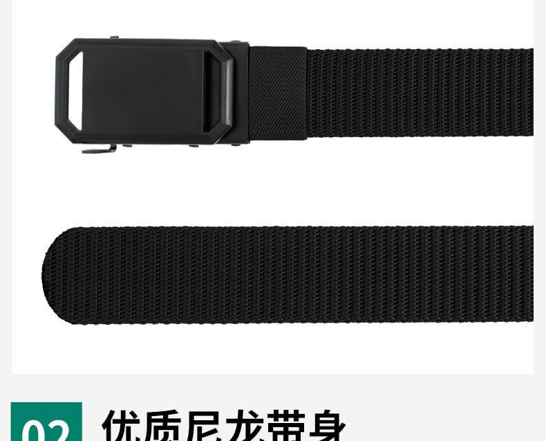Plain Web Belt