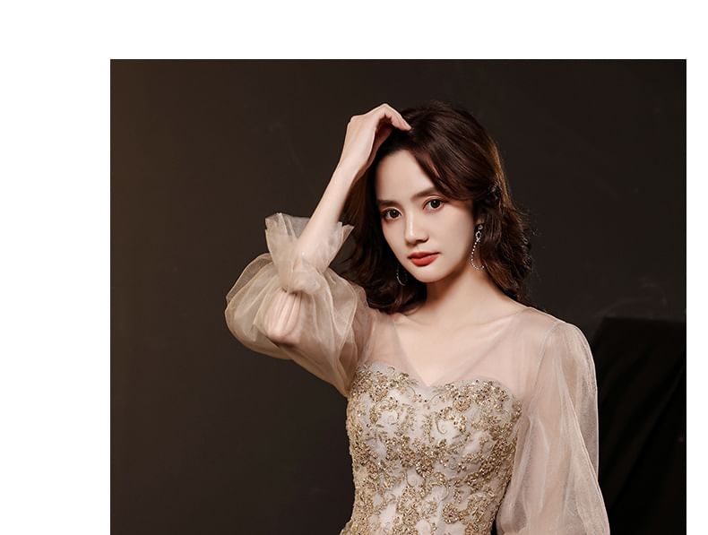 Long-Sleeve / Dress Mesh V-Neck Evening A-Line Gown