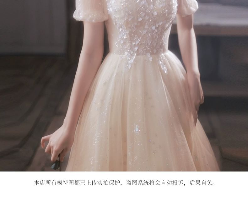 A-Line Mesh Short-Sleeve Evening Gown Collared Sequin