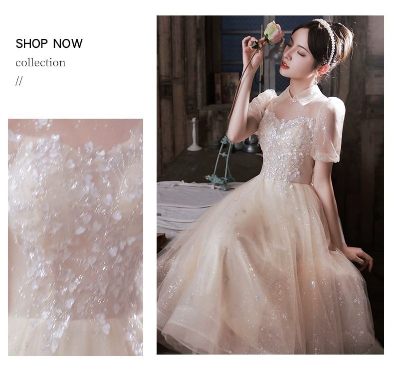 A-Line Mesh Short-Sleeve Evening Gown Collared Sequin