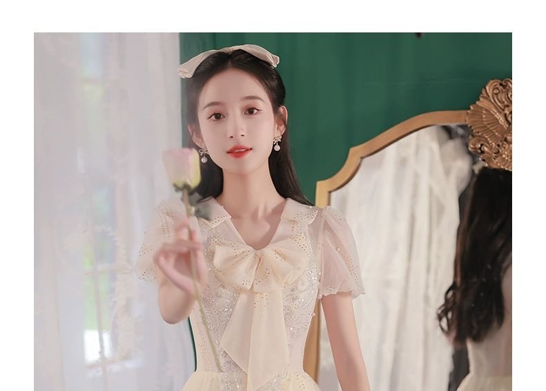 A-Line Evening Mesh Gown Ribbon Short-Sleeve Neck