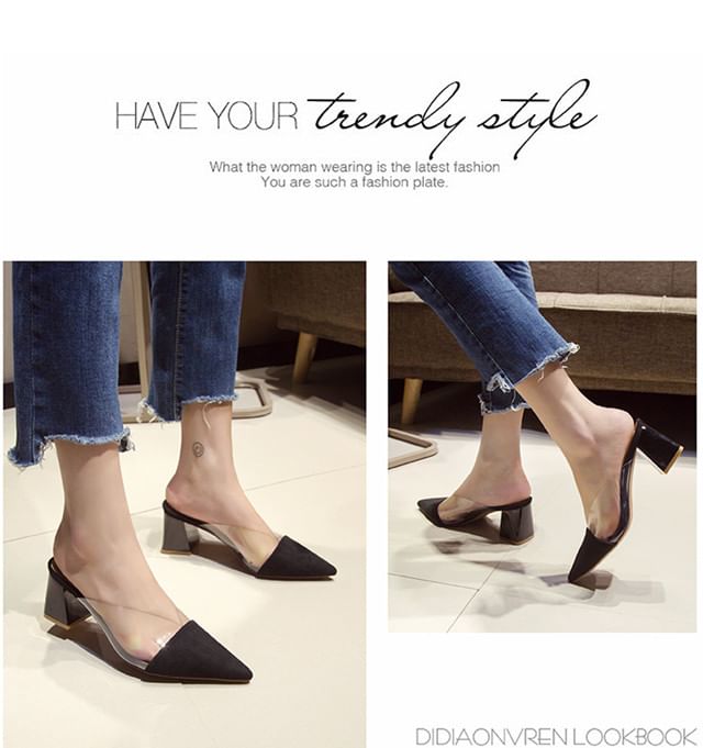 Pointed Toe Panel Transparent Block Heel Mules