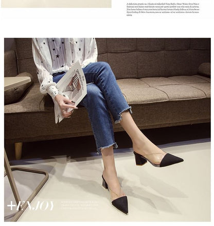 Pointed Toe Panel Transparent Block Heel Mules