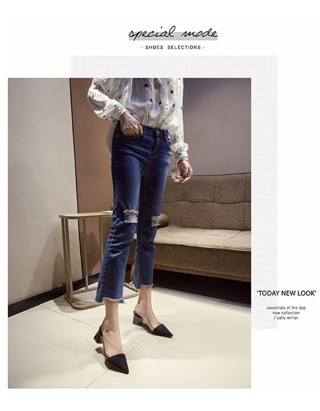 Pointed Toe Panel Transparent Block Heel Mules