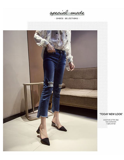 Pointed Toe Panel Transparent Block Heel Mules