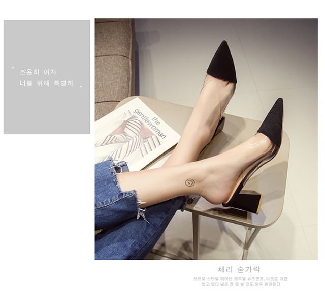 Pointed Toe Panel Transparent Block Heel Mules