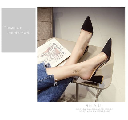 Pointed Toe Panel Transparent Block Heel Mules