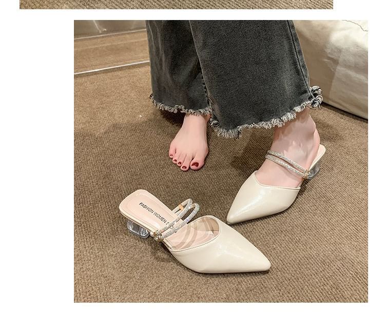 Pointed Toe Block Heel Mary Jane Mules