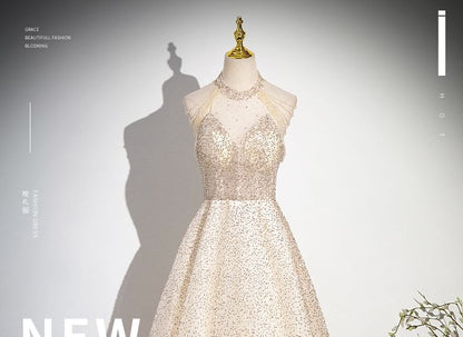 Sleeveless Mock Neck Beaded Glitter Mesh A-Line Evening Gown